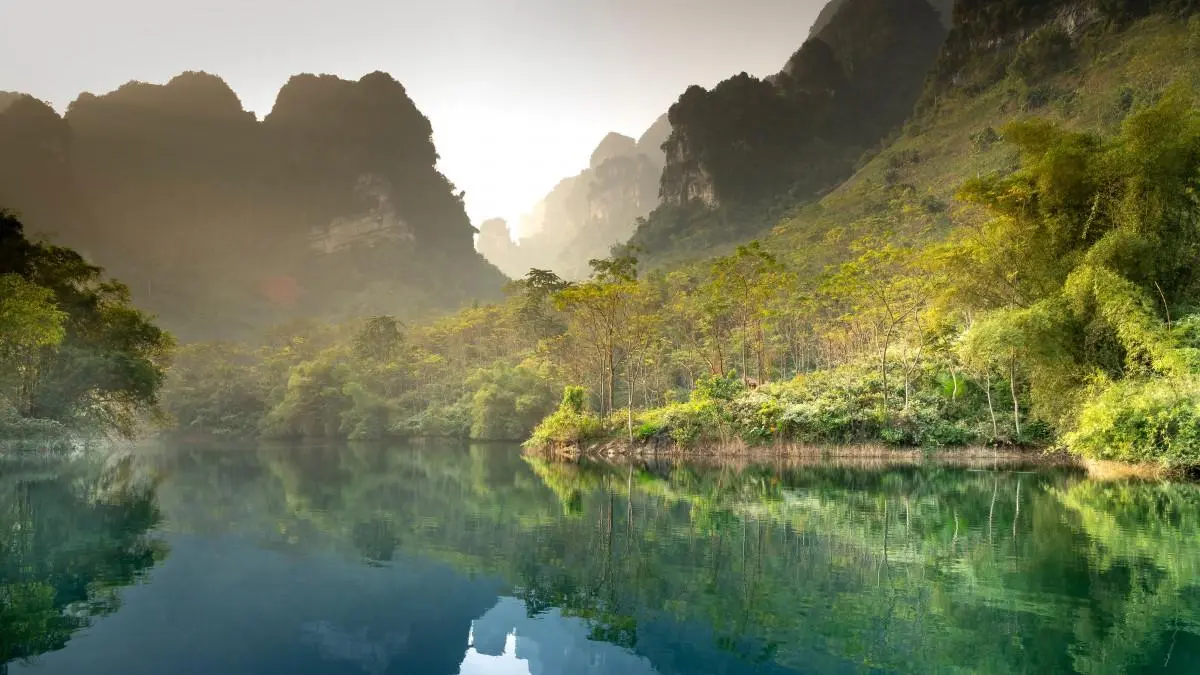智能化高端